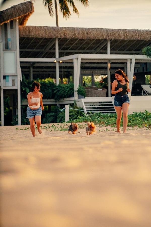 Beach Houses Moitas Amontada 外观 照片